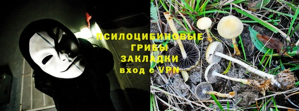 ALPHA PVP Киреевск
